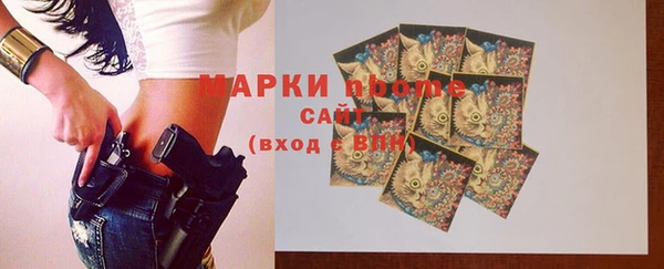 индика Армянск
