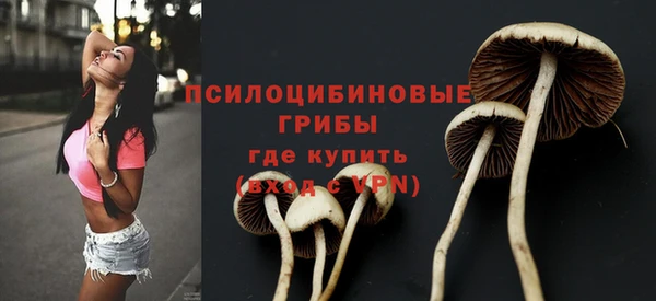 молекула духа Аркадак