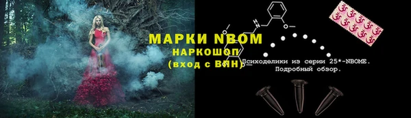 твердый Коряжма