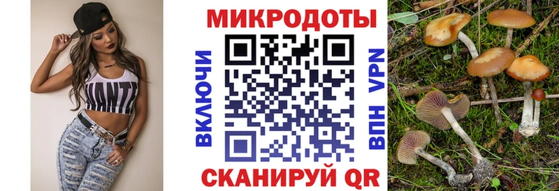 Псилоцибиновые грибы прущие грибы  Касли 